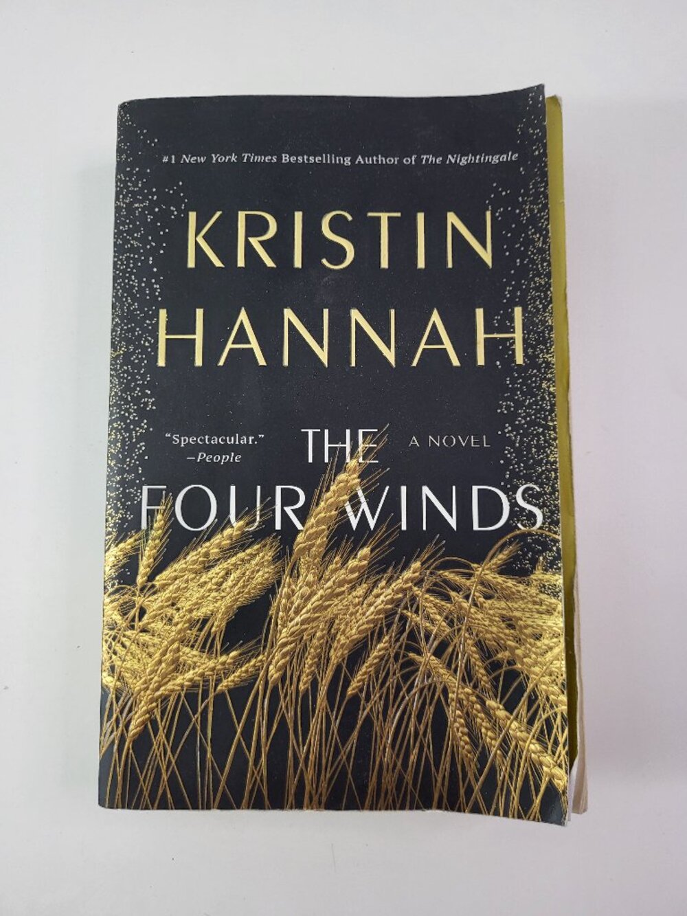 The Four Winds by Kristin Hannah – Bestselling Historical Fiction Trade